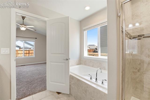 MLS Image for 6148  Mumford  ,Colorado Springs, Colorado