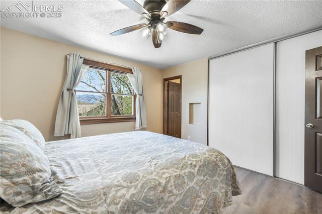 MLS Image for 223  Saddlemountain  ,Colorado Springs, Colorado