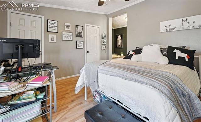 MLS Image for 10025  Milne  ,Colorado Springs, Colorado