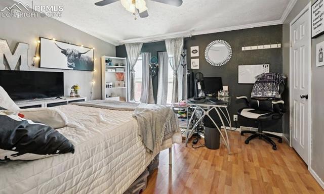 MLS Image for 10025  Milne  ,Colorado Springs, Colorado