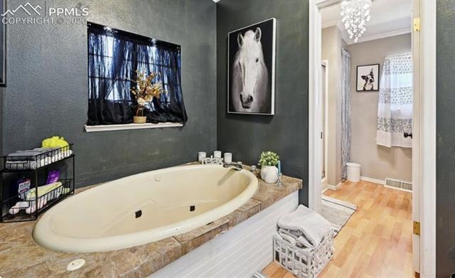 MLS Image for 10025  Milne  ,Colorado Springs, Colorado