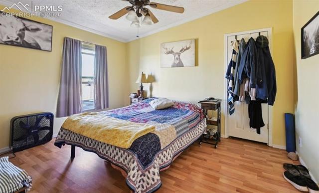 MLS Image for 10025  Milne  ,Colorado Springs, Colorado