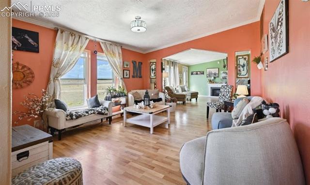 MLS Image for 10025  Milne  ,Colorado Springs, Colorado