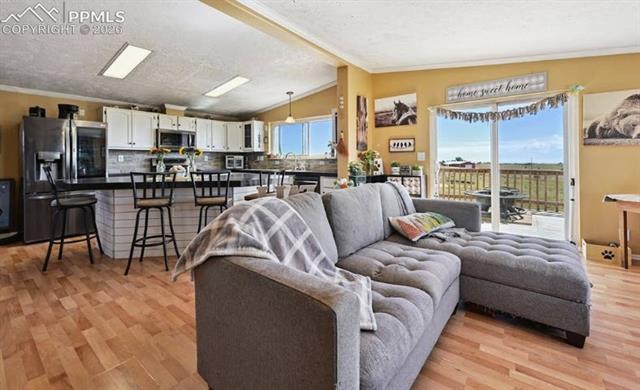 MLS Image for 10025  Milne  ,Colorado Springs, Colorado