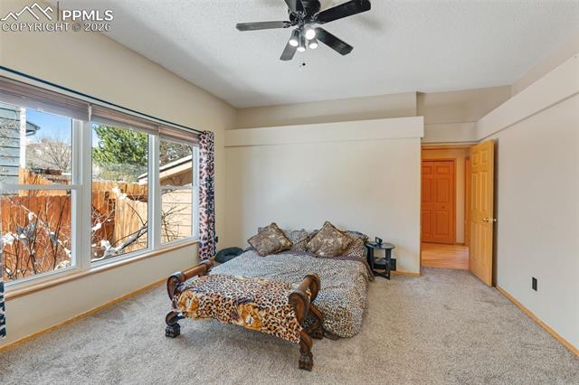 MLS Image for 670  Fernglen  ,Colorado Springs, Colorado