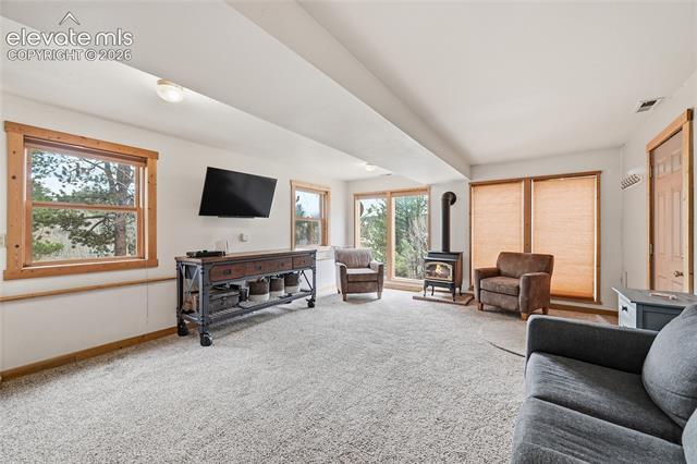 MLS Image for 123  Granby Lake  ,Divide, Colorado