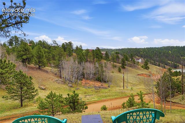 MLS Image for 123  Granby Lake  ,Divide, Colorado