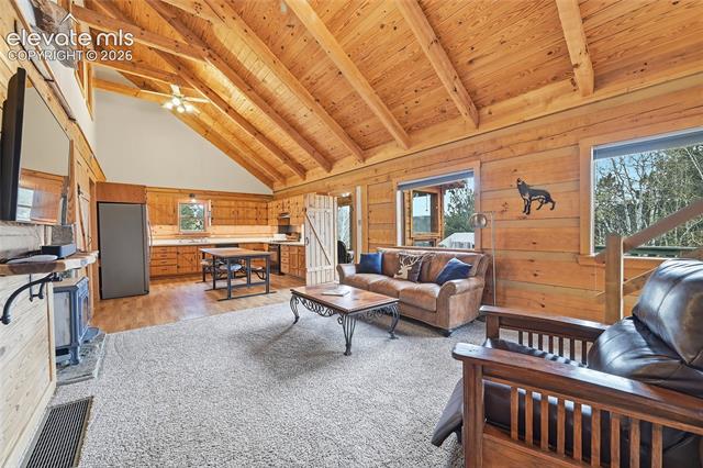 MLS Image for 123  Granby Lake  ,Divide, Colorado