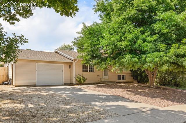 6610  White Water  , colorado springs  House Search MLS Picture