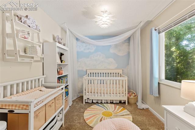 MLS Image for 6610  White Water  ,Colorado Springs, Colorado