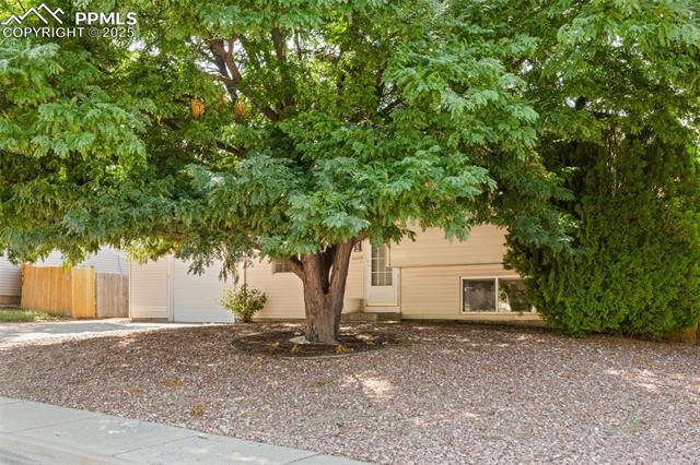 MLS Image for 6610  White Water  ,Colorado Springs, Colorado