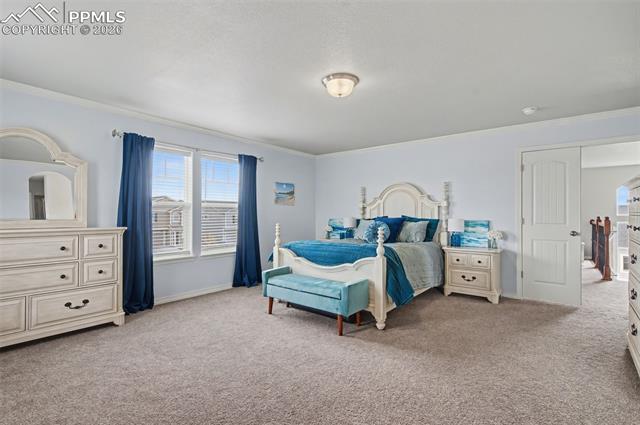 MLS Image for 8271  White Fish  ,Colorado Springs, Colorado