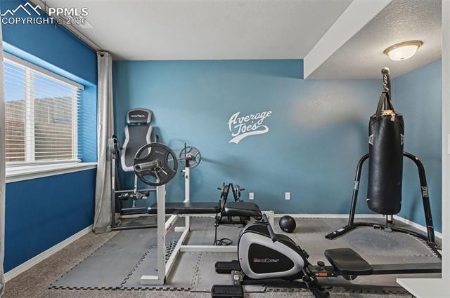 MLS Image for 8271  White Fish  ,Colorado Springs, Colorado