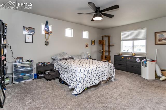 MLS Image for 5672  Tramore  ,Colorado Springs, Colorado