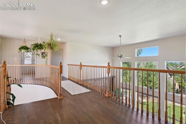 MLS Image for 9972  Pinedale  ,Colorado Springs, Colorado