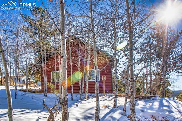 MLS Image for 172  Big Horn  ,Florissant, Colorado