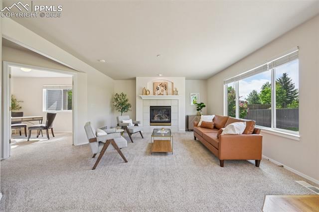 MLS Image for 3527  Painted Daisy  ,Colorado Springs, Colorado
