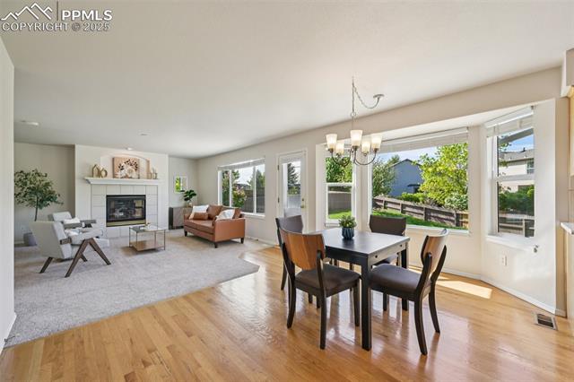 MLS Image for 3527  Painted Daisy  ,Colorado Springs, Colorado