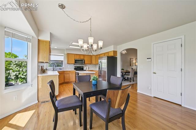 MLS Image for 3527  Painted Daisy  ,Colorado Springs, Colorado