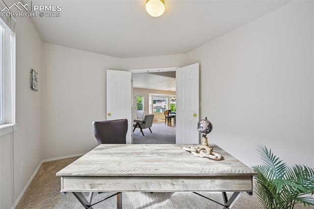 MLS Image for 3527  Painted Daisy  ,Colorado Springs, Colorado