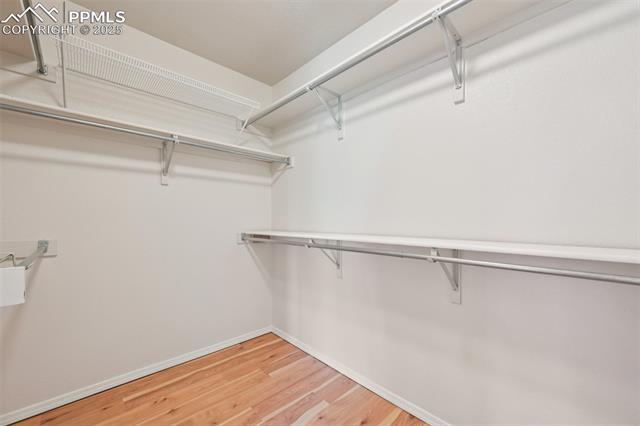 MLS Image for 3527  Painted Daisy  ,Colorado Springs, Colorado