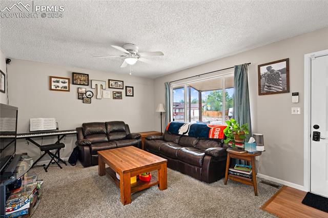 MLS Image for 6655  President  ,Colorado Springs, Colorado