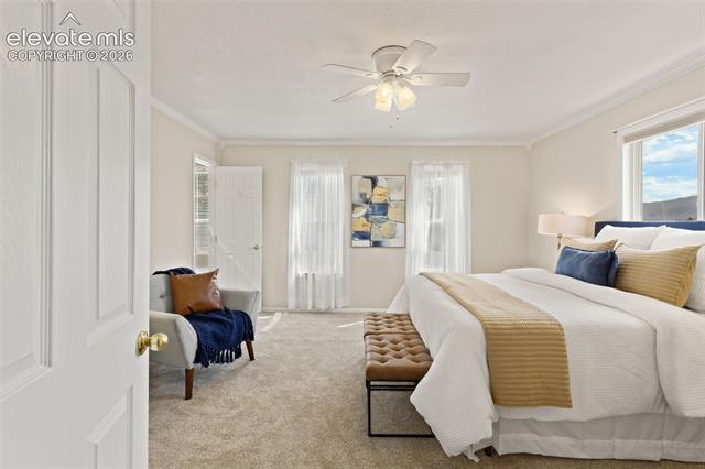 MLS Image for 5050 N Splendid  ,Colorado Springs, Colorado