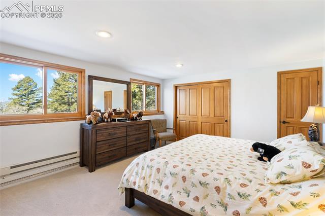 MLS Image for 4265  County Road 51  ,Divide, Colorado
