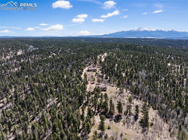 MLS Image for 4265  County Road 51  ,Divide, Colorado