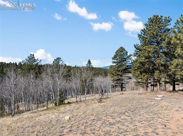 MLS Image for 4265  County Road 51  ,Divide, Colorado