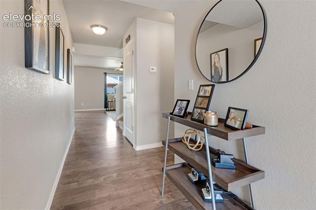 MLS Image for 9104  Vanderwood  ,Colorado Springs, Colorado
