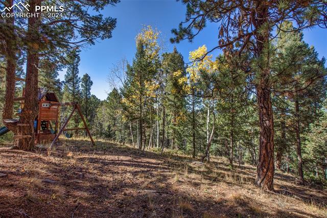 MLS Image for 1569  County Road 512  ,Divide, Colorado