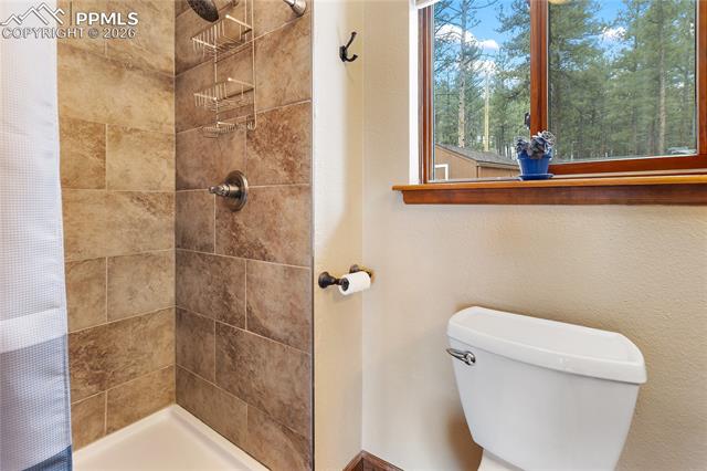 MLS Image for 901  Wilson  ,Florissant, Colorado