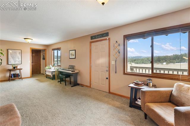 MLS Image for 901  Wilson  ,Florissant, Colorado