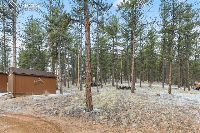 MLS Image for 901  Wilson  ,Florissant, Colorado