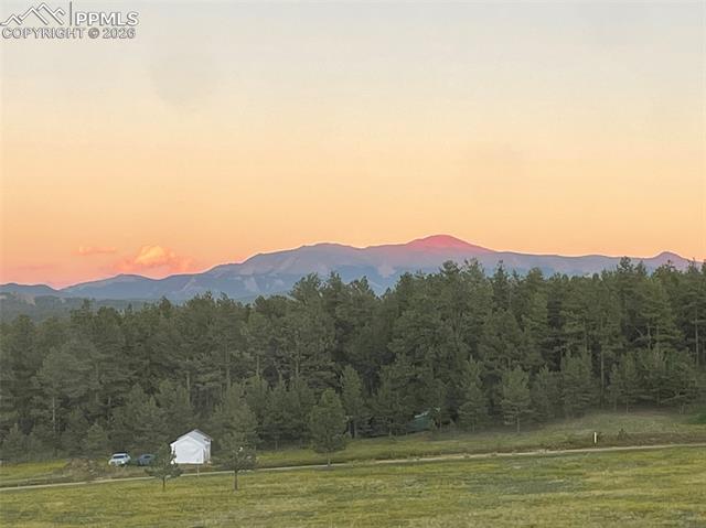 MLS Image for 901  Wilson  ,Florissant, Colorado