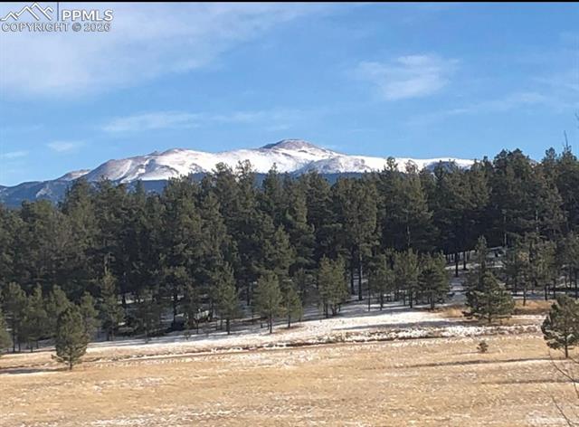 MLS Image for 901  Wilson  ,Florissant, Colorado