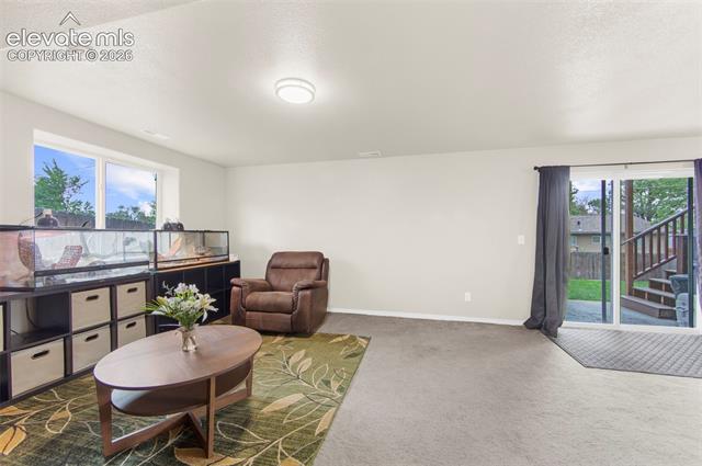 MLS Image for 1223  Livingston  ,Colorado Springs, Colorado