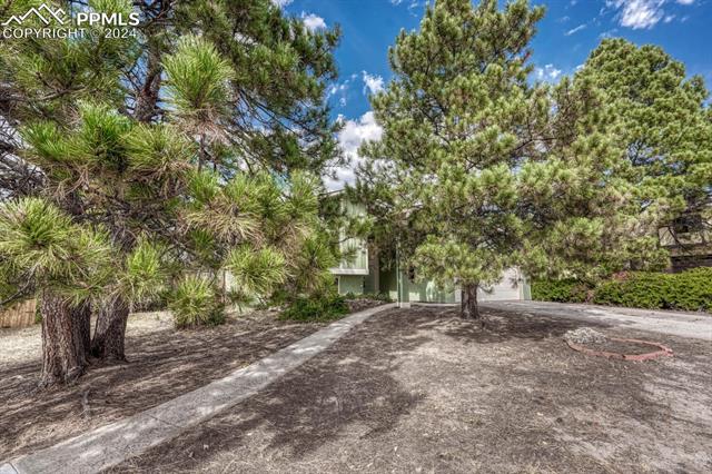 MLS Image for 3110  Vickers  ,Colorado Springs, Colorado