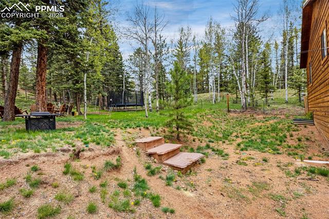 MLS Image for 126  Pinewood  ,Divide, Colorado