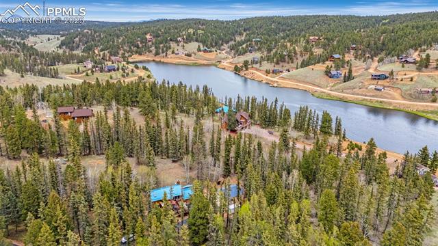 MLS Image for 126  Pinewood  ,Divide, Colorado