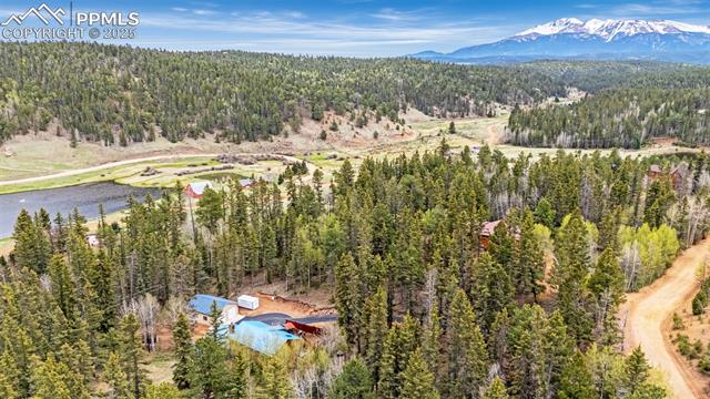 MLS Image for 126  Pinewood  ,Divide, Colorado