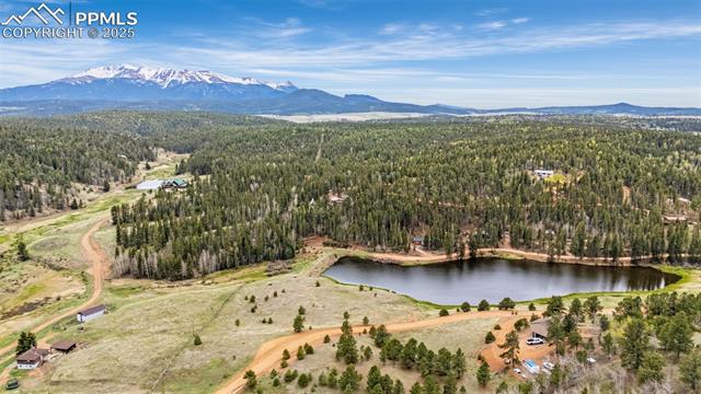 MLS Image for 126  Pinewood  ,Divide, Colorado