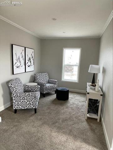 MLS Image for 812  Iowa  ,Colorado Springs, Colorado