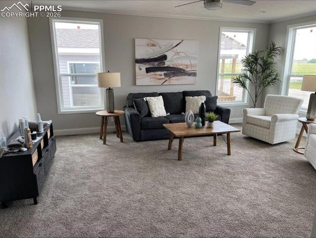 MLS Image for 812  Iowa  ,Colorado Springs, Colorado
