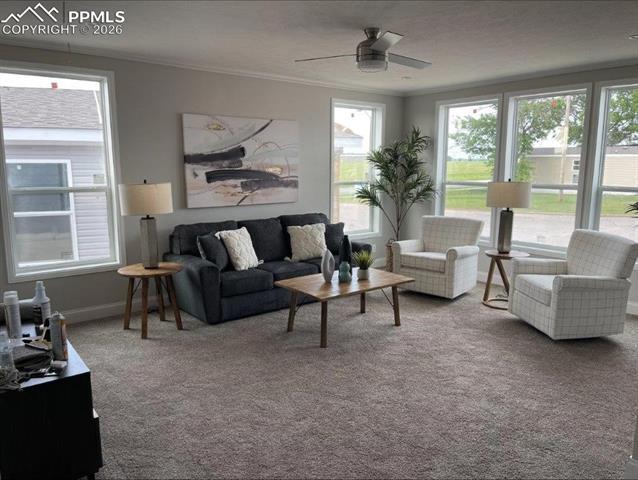 MLS Image for 812  Iowa  ,Colorado Springs, Colorado
