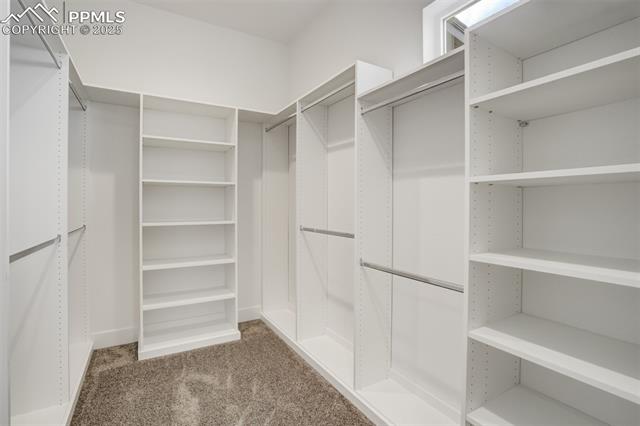 MLS Image for 2064  Walnut Creek  ,Colorado Springs, Colorado