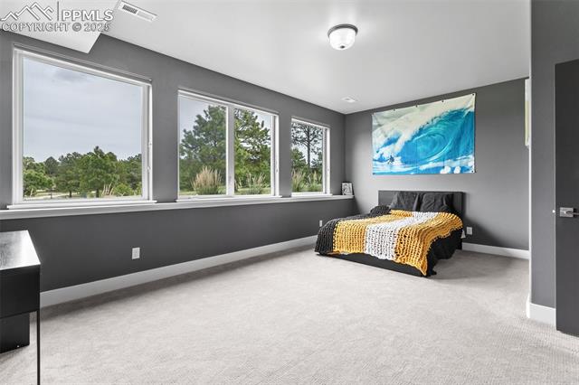 MLS Image for 843  Long Timber  ,Monument, Colorado