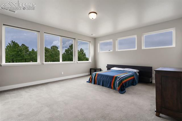 MLS Image for 843  Long Timber  ,Monument, Colorado