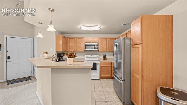 MLS Image for 605  Cougar Bluff  206 ,Colorado Springs, Colorado